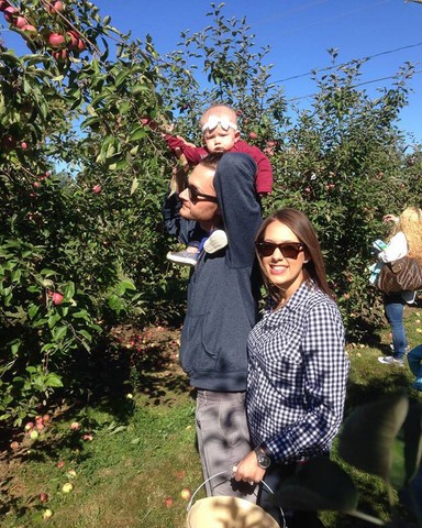 Picking Apples