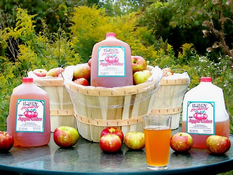 Apple Cider For Sale