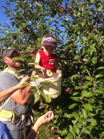 Apple Picking Time