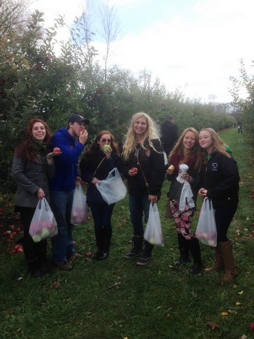 Apple Picking at Smith's Orchard